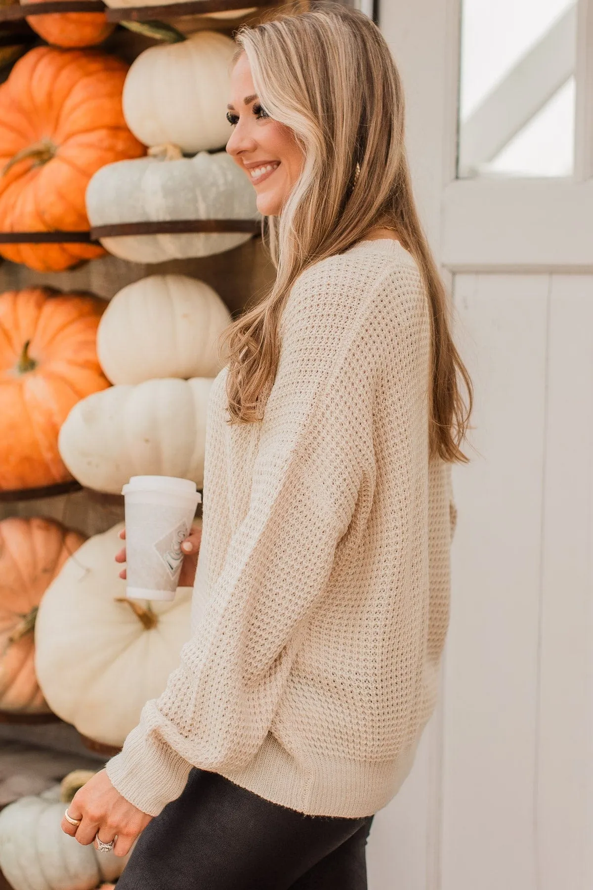 Captivating In Color Knit Sweater- Oatmeal