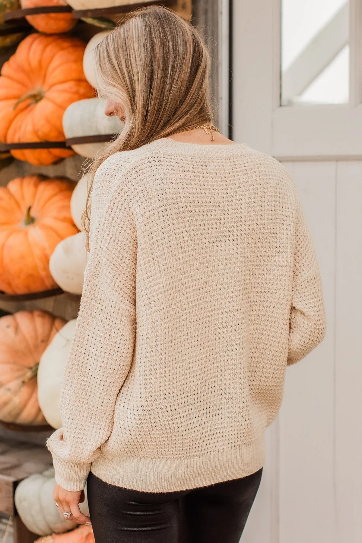 Captivating In Color Knit Sweater- Oatmeal