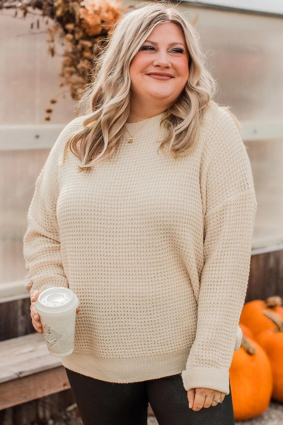 Captivating In Color Knit Sweater- Oatmeal