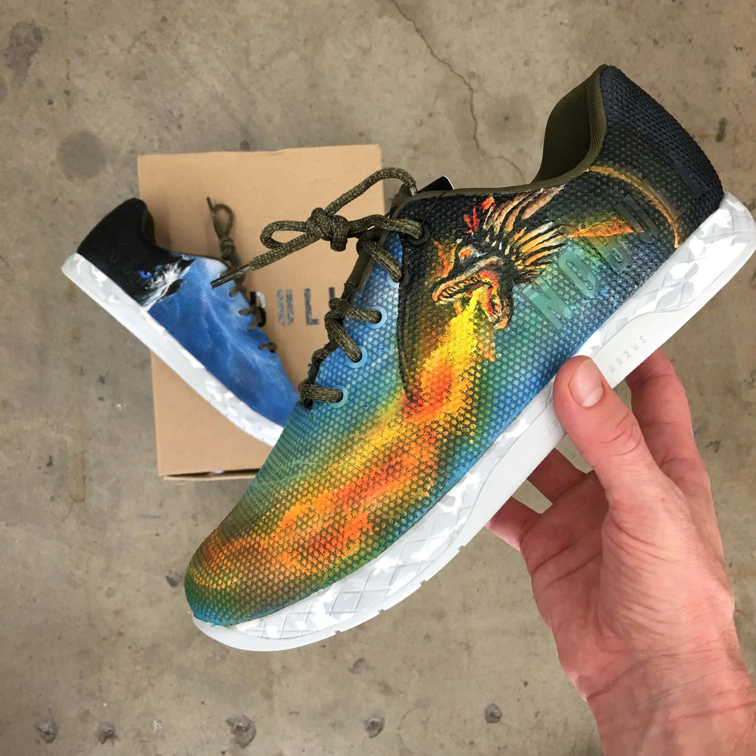 Custom Hand Painted Game of Thrones Dragon Themed NOBULL Trainers