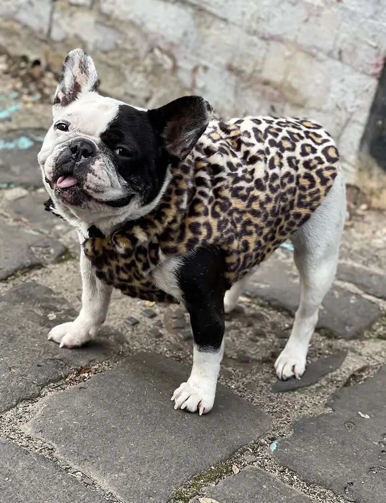 JUNGLE FAUX FUR DOG JACKET