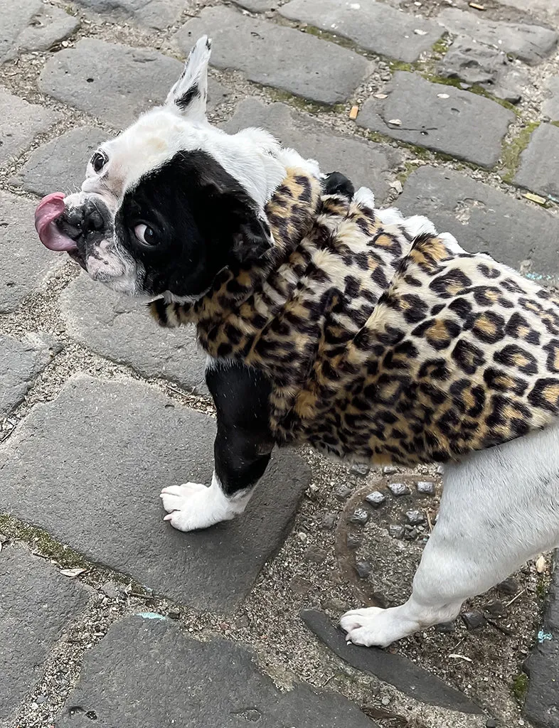 JUNGLE FAUX FUR DOG JACKET