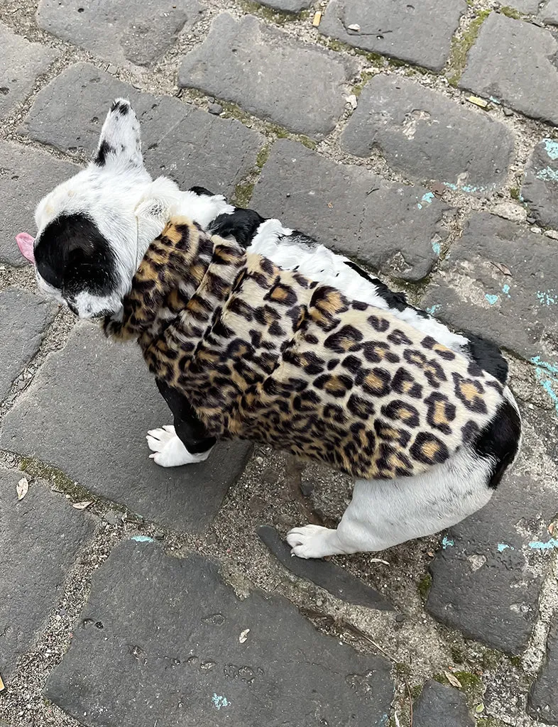 JUNGLE FAUX FUR DOG JACKET