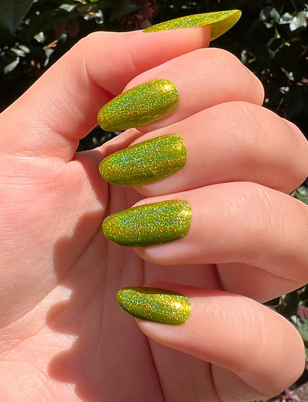 KEEP OFF THE GRASS HOLO NAIL POLISH