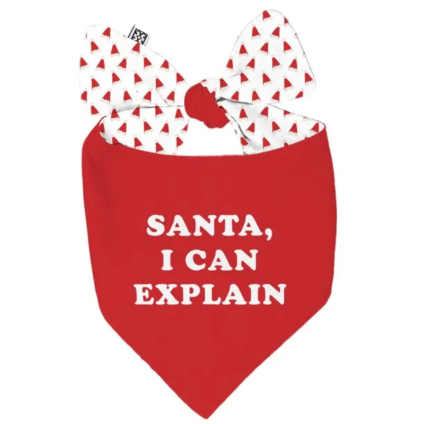 Santa I Can Explain Pet Bandana