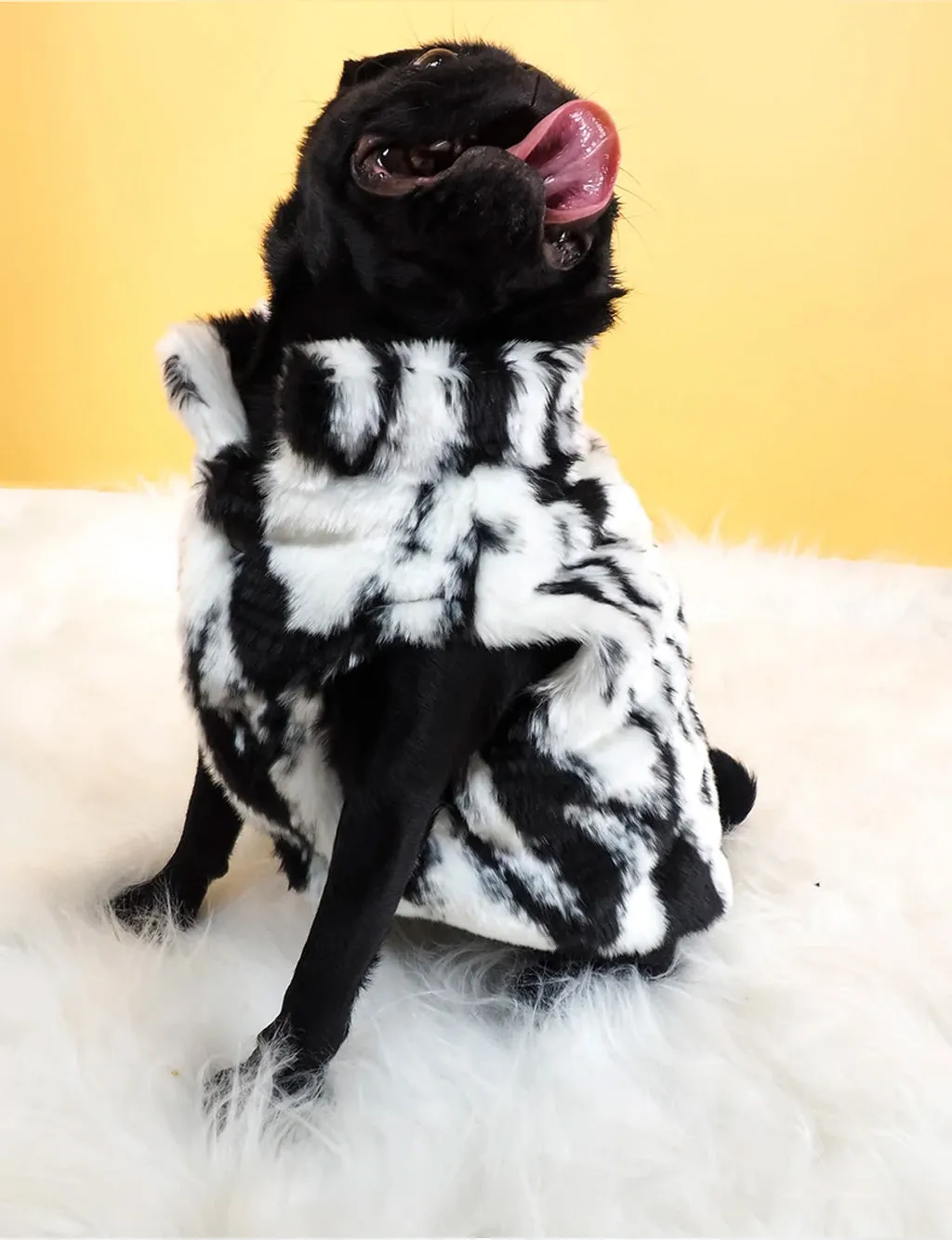 SNOW LEOPARD FAUX FUR DOG JACKET