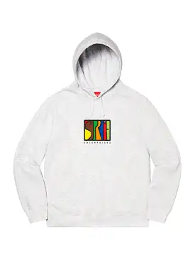 Supreme Enterprises Hoodie Ash Grey [FW20]